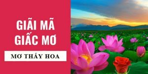 Mơ thấy hoa sen đánh số gì - Giải mã và gợi ý số lô đề