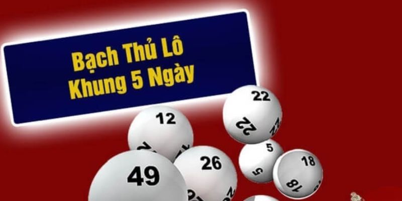 Hình thức nuôi lô khung 5 ngày